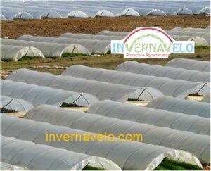 ¿Qué son y para que me sirven las cubiertas flotantes? - Invernavelo